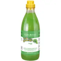 Iv San Bernard Fruit-mint Shampoo 1l