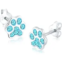 Elli Oorbellen turquoise / zilver