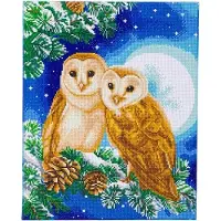 Craft Buddy Diamond painting - kit Moonlight Perch