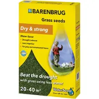 Barenbrug Graszaad | | Water Saver | 40 m² (1 kg)