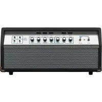 Ampeg SVT-50TH Heritage Special Edition 300W basgitaarversterker head