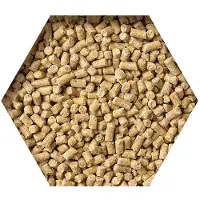 Beyers Goldcorn Koopman 2,5 kg