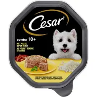 Cesar 6x - Senior 10+ met malse kip en rijst - 150g