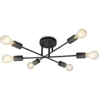 B.K.Licht Led-plafondlamp LED vintage-lamp plafondlamp retro industrieel E27 zwart rustiek