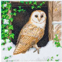 Crystal Art Snowy Owl, 30x30cm Crystal Art Kit Met Canvas Frame (full)