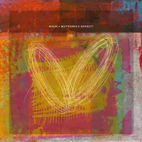 Konkurrent Sack - Butterfly Effect (2 LP) (25th Anniversary Edition)