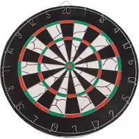 Sportx Dartbord 45 cm met 6 Darts
