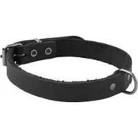 Adori Halsband Vetleder Met Print