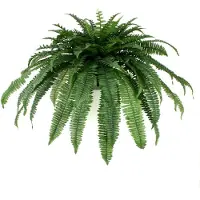 Maxifleur Kunstplanten Boston Varen Giant D95 kunstplant