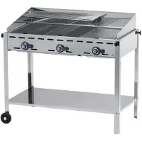 Hendi Green Fire Gasbarbecue 3 branders