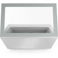 Hendi Opzet vriesvitrine 77L, RVS, 66,6(b)x80,5(d)x30,5(h)cm, 4x GN 1/3, 233689