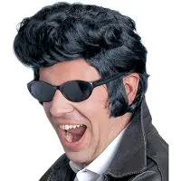 Finidi Zwarte Elvis pruik met kuif en ruige bakkebaarden
