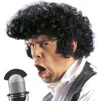 Finidi Zwarte rock en roll pruik Elvis met bakkebaarden