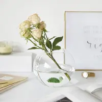 Balvi Atlantis Turtle Vase Transparant