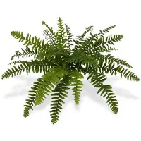 Maxifleur Kunstplanten Boston Varen deluxe kunstplant x21 50cm