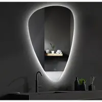 SaniGoods Ovaro organische spiegel met LED-verlichting met spiegelverwarming 60x80cm
