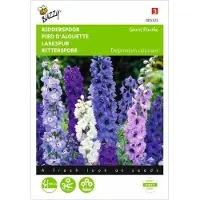 Ta Delphinium cultorum Pacific Giant