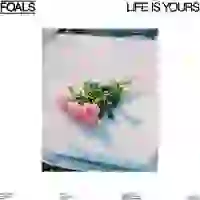 Warner Music Life Is Yours (CD)