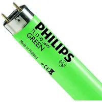 Philips 25x G13 T8 TL-buis | 36W 4300lm | 1210mm Groen