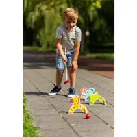 OUTDOOR PLAY animal croquet - Speelgoed - Dierenvorm - 4 dierenpoortjes - Kindvriendelijk