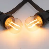 LumenXL Prikkabel set met 2 watt dimbare LED lampen met dubbele filament
