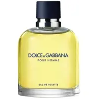 Dolce&Gabbana Pour Homme Eau de Toilette 75 ml