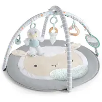 Ingenuity Sheppy's Spot Pluche Activity Gym Speelkleed K12470