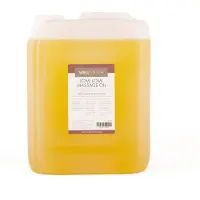 Welltouch Lomi-Lomi massageolie 5 l