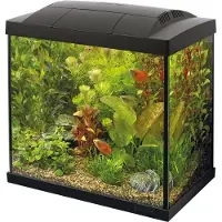 Superfish Start 50 tropical kit zwart