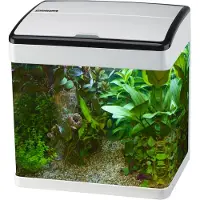 Superfish Panorama 20 - wit