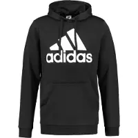 Adidas Hooded sweatshirt Essentials Big Logo