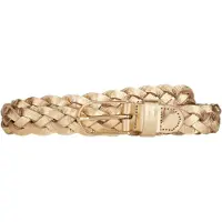 Vanzetti Riem goud