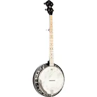 Ortega Falcon Series 5-string Banjo Transparent Charcoal elektrisch-akoestische banjo met gigbag