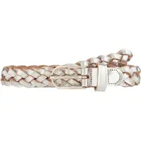 Vanzetti Riem zilver