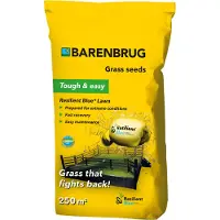 Barenbrug Graszaad | | Resilient Blue Lawn | 250 m²