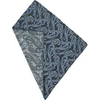 Michaelis pocket square, groene paisley pochet zijde |