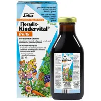 Floradix Elixer Kindervital Fruity 250ml