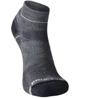 Smartwool Performance Hike Light Cushion Ankle Sokken