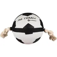 Karlie Action Ball Hondenspeeltje