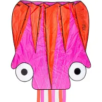 Dragon Fly Vlieger - Octopus - Roze/Oranje - 124 x 127 cm - Vanaf 7 jaar