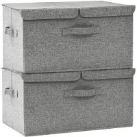 vidaXL Opbergboxen, 2 stuks, stof, 50x30x25 cm, grijs