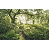 Komar Vliesbehang Digitale print vlies - Mystic Path - Afmeting 400 x 250 cm (1 stuk)