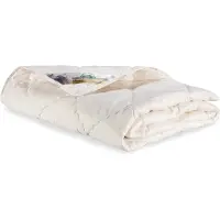 Texeler Multikeus zomer dekbed 200 grams 240x220