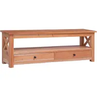 vidaXL Tv-meubel 120x30x40 cm massief mahoniehout