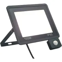 vidaXL Spotlight met sensor LED 100 W koudwit