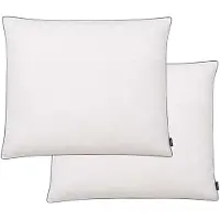 vidaXL Kussens 2 st licht 70x60 cm dons-/verenvulling wit