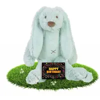 Happy horse Verjaardag knuffel konijntje Richie mintgroen 28 cm - incl. gratis verjaardagskaart