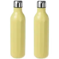 Excellent houseware 2x stuks RVS thermosflessen / isoleerflessen voor onderweg 500 ml pastel geel - Thermosflessen