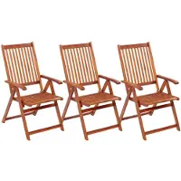 vidaXL Inklapbare stoelen 3 st massief acaciahout