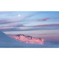 Overig Fotobehang Purple Dinner - Blauw - 2,80m X 450cm